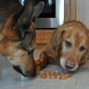 Tango offering to help