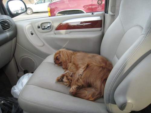 Hanging out in the car can be exhausting