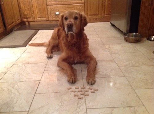 One cookie for each wonderful year