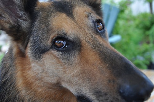 2004FEB12 - 2014NOV01