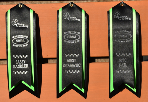 SDDA2018SEP23SpecialAwards