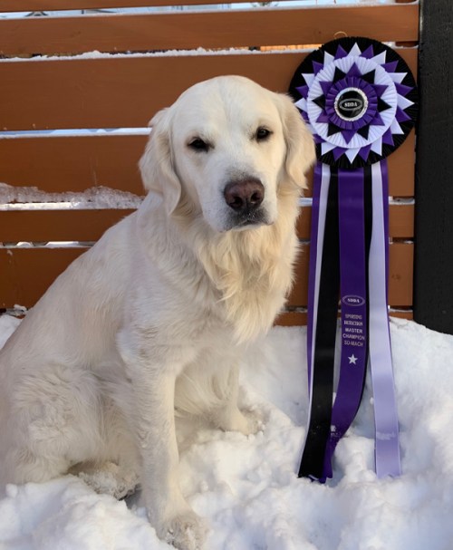 BrodieMACH2018NOV10-2