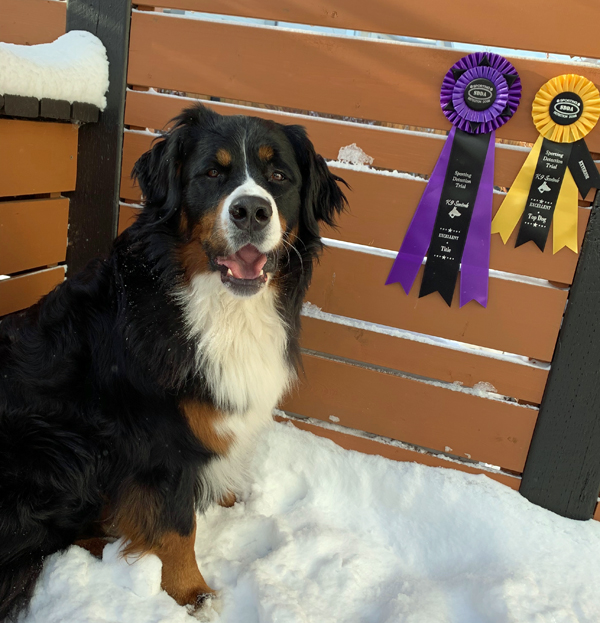 Spirit_SD-E-2018NOV11