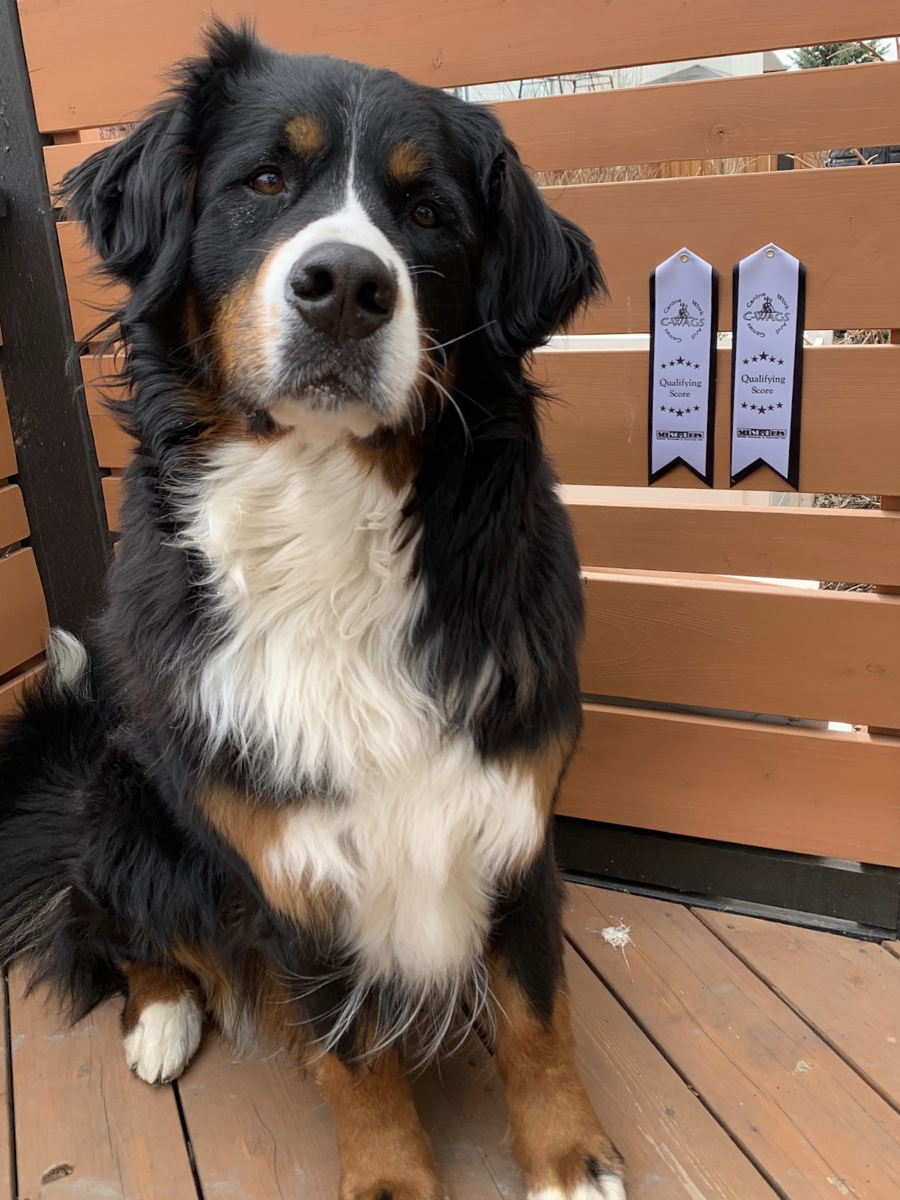 208019EF-8CB1-4F5F-90D5-DECBDD0F9172