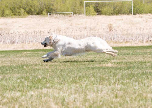 BrodieChase2019MAY19-3