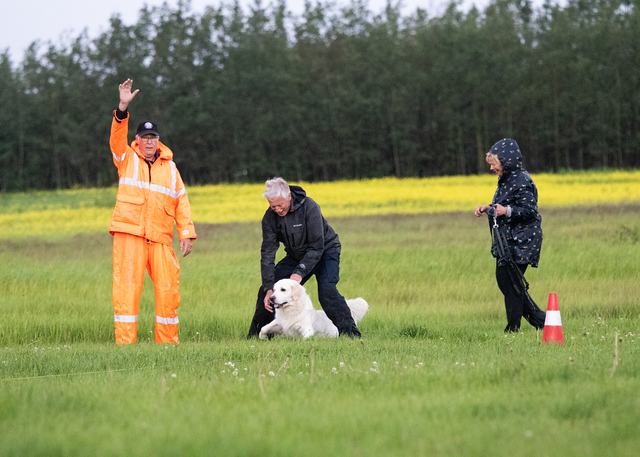 82187869-016A6958-207