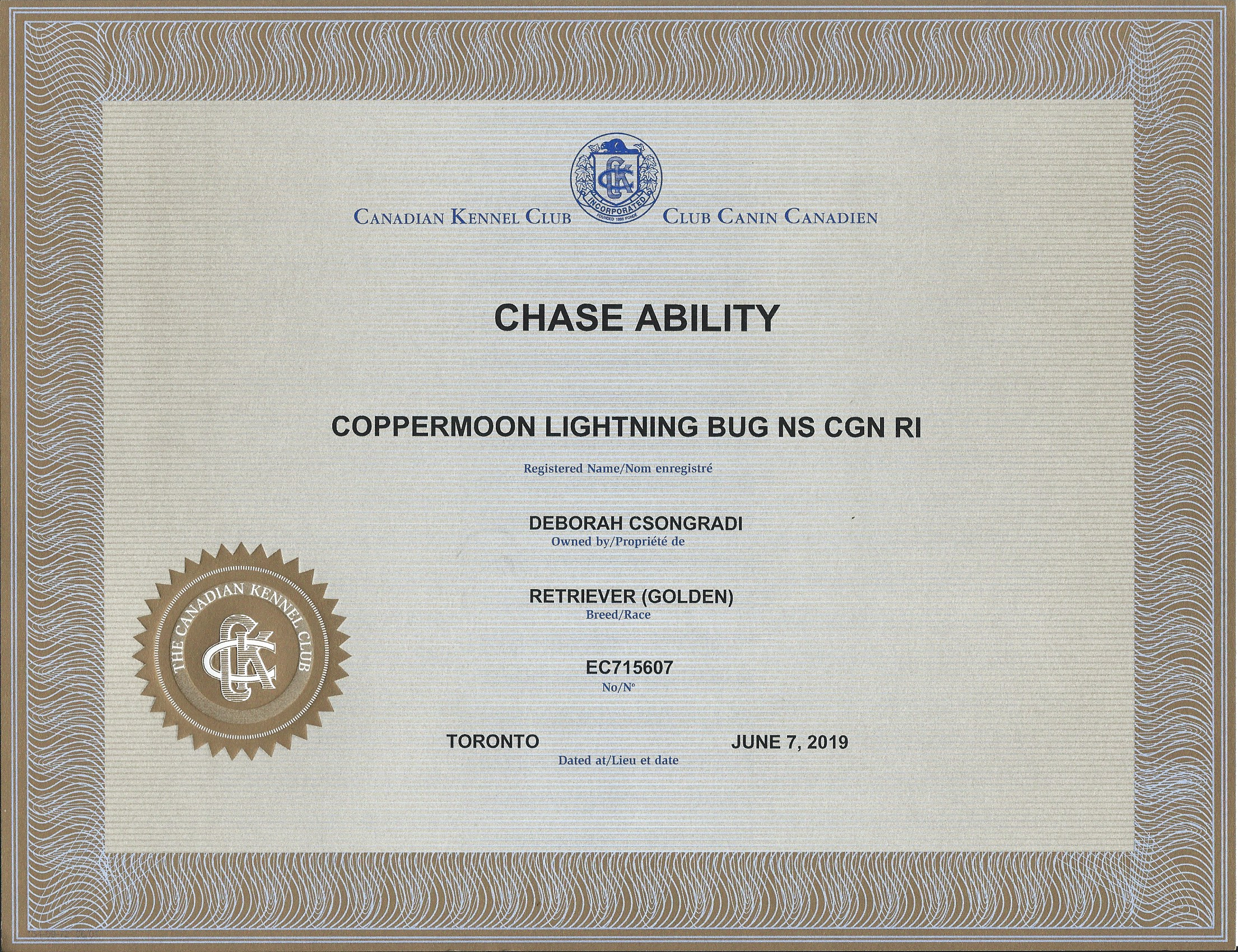 Brodie_CKC-ChaseAbility