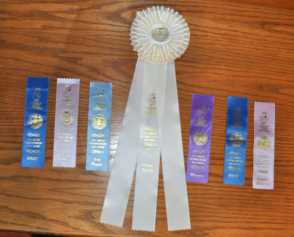 NACA2015Ribbons