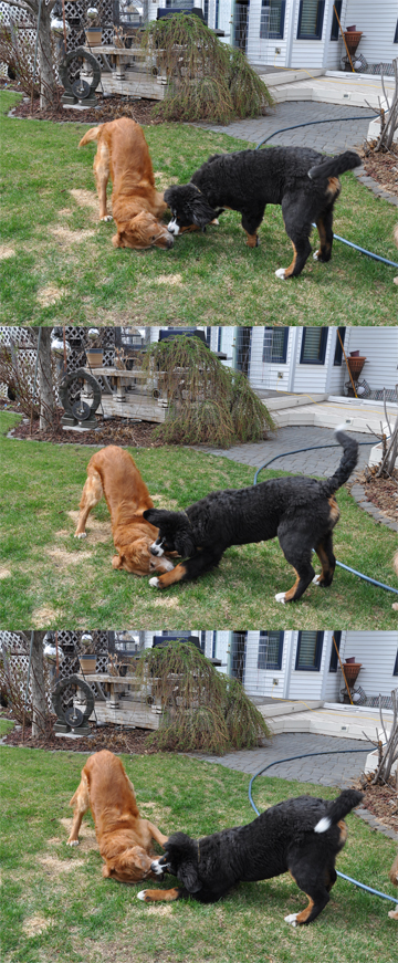 Wrestling with my big brother